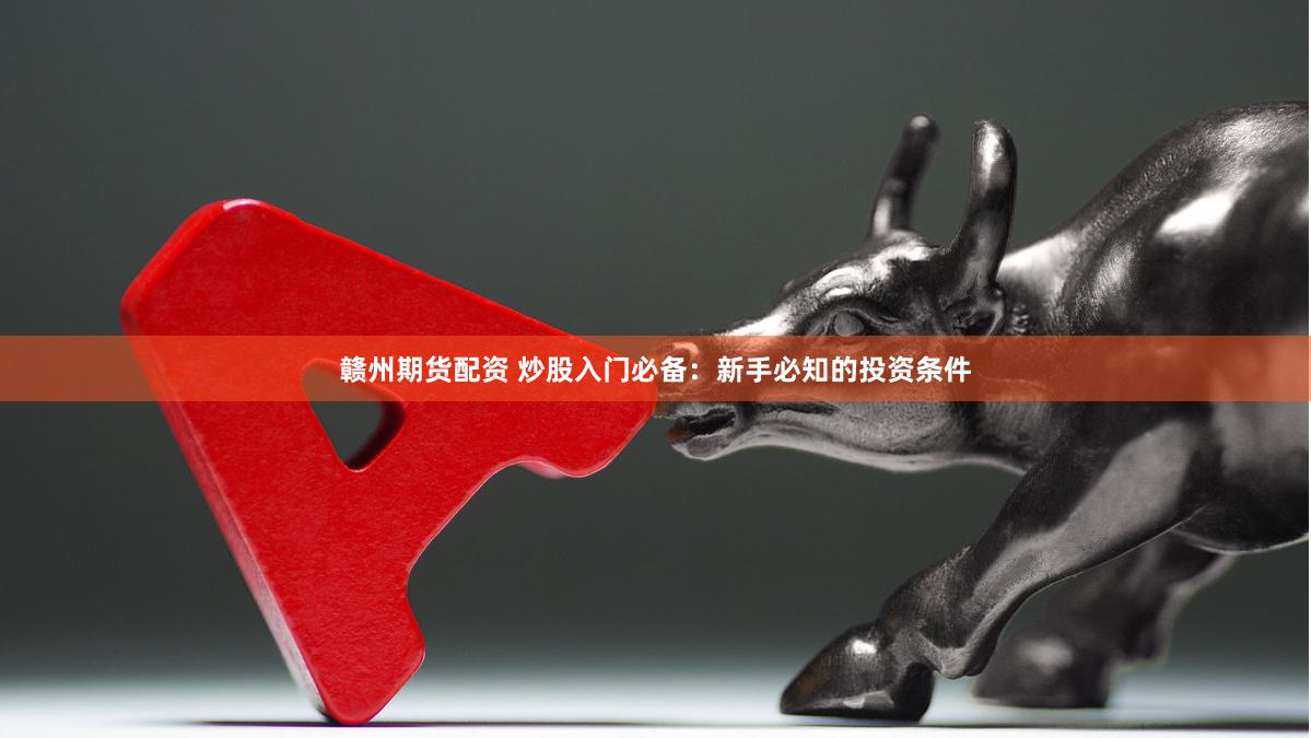 赣州期货配资 炒股入门必备：新手必知的投资条件