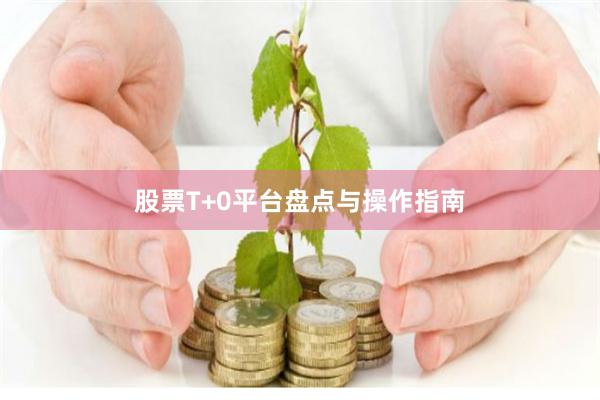股票T+0平台盘点与操作指南